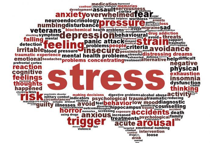 Stresle Başa Çıkma ve Öfke Yönetimi